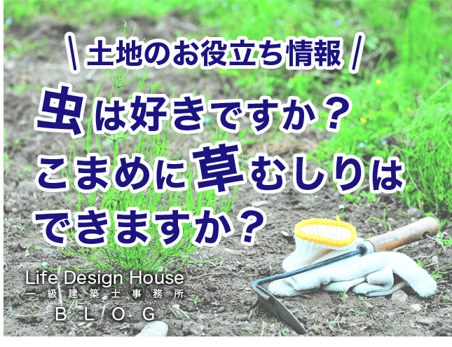 虫は好きですか？こまめに草むしりはできますか？